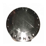 Boiler Customized Dimension Dn1500 Forged Flange 1.4404 316L Tube Sheet Flange