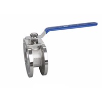 China Supplier Stainless Steel Wafer Ball Valve2