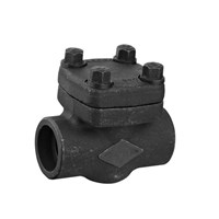Threaded Forged Vertical Check Valve