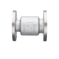 Flanged Check Valve Vertical Stainless Steel Check Valve