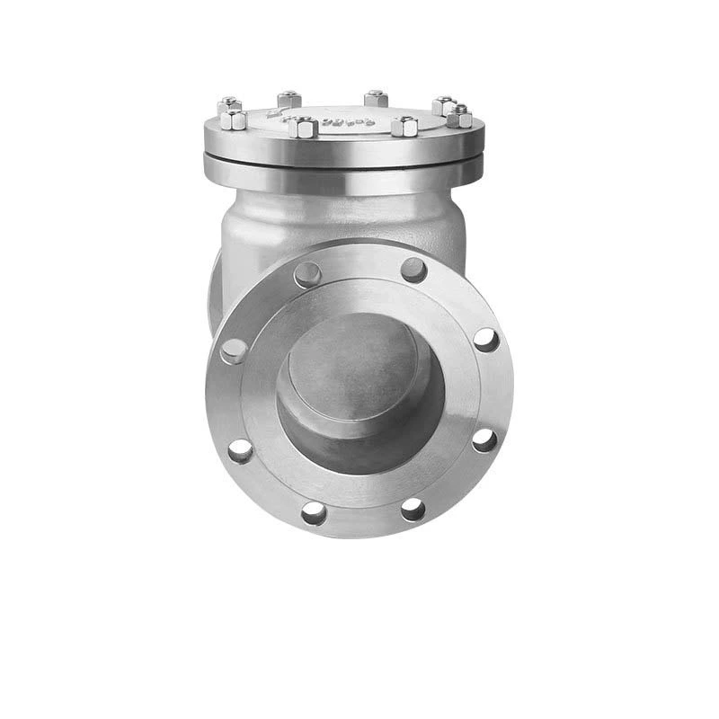 Flanged Check Valve Ss Check Valve