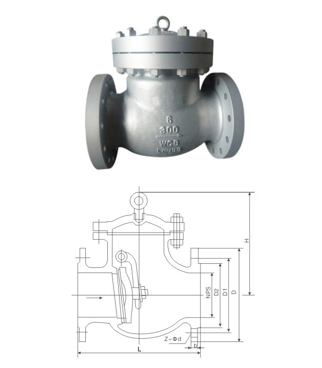 Flanged Check Valve Ss Check Valve