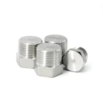 Stainless steel hex plug